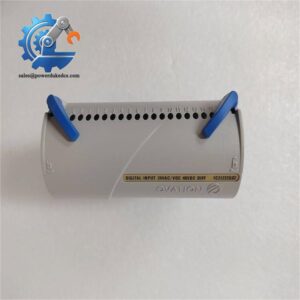 Emerson 1C31113G01